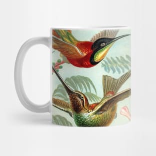 Floral Hummingbirds Mug